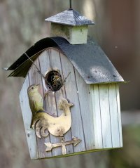 K41A9240.JPG K41A9240.JPG