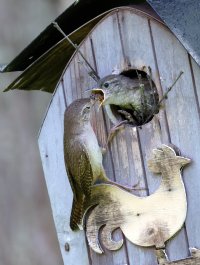 K41A9230.JPG K41A9230.JPG