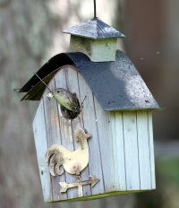 K41A9096.JPG K41A9096.JPG