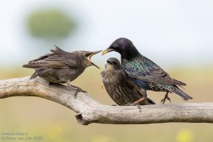 _MG_13497-Enhanced-NR.jpeg _MG_13497-Enhanced-NR.jpeg