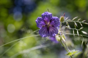 2025-05-30 17-23-18 (B,R8,S4)6.jpg