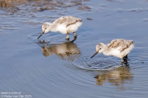 _MG_8140.jpeg _MG_8140.jpeg