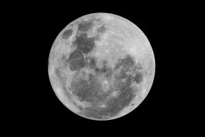 20250611-018A0001-Edit-BW.jpg