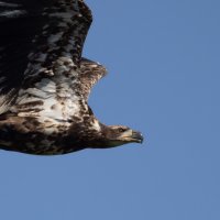 _V0A4764-Edit.jpg