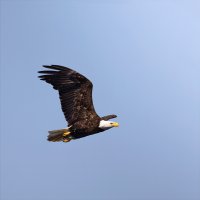 _V0A4826-Edit.jpg
