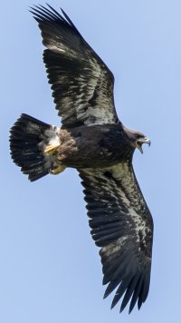 _CW_9623 copy-topaz-sharpen.jpeg