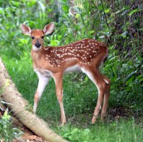 K41A1866-001-topaz-denoise - Copy.JPG