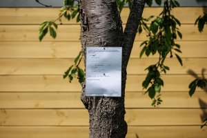 1M8A1782-800mm- original - 2.jpg