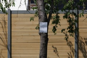 1M8A1784-400mm - original.jpg