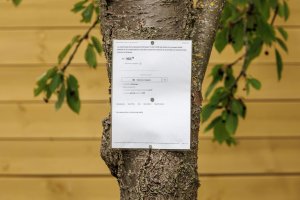 1M8A1789 - 1120mm- original.jpg