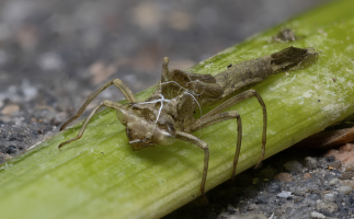 Scherm­afbeelding 2025-06-26 om 09.57.17.png