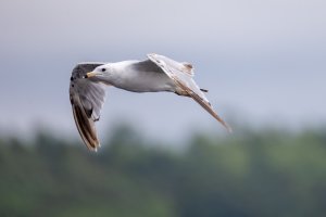 _V0A5883-Edit.jpg