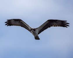 _V0A5946-Edit.jpg