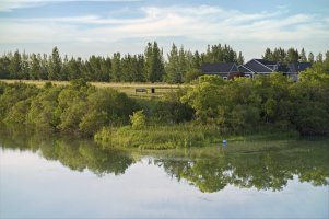 DSCF2896Texture 2_Radiant.jpg