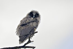 _66A4622Texture 2-topaz-sharpen_Radiant.jpg