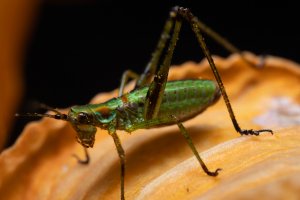 IMG_3971-Edit.jpg