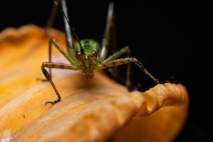 IMG_3964-Edit.jpg