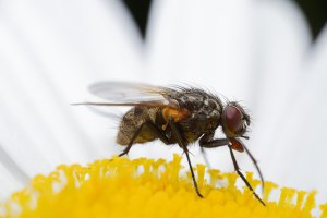 IMG_3933-Edit.jpg