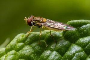IMG_4081-Edit.jpg