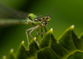IMG_4138-Edit.jpg