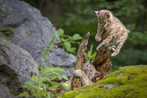 HB 20250717_48A1000_DxO-Bearbeitet.jpg