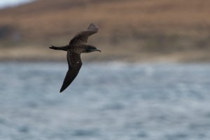 DSC_9327_DxO.jpg DSC_9327_DxO.jpg