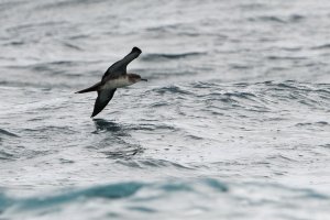 DSC_9348_DxO.jpg DSC_9348_DxO.jpg