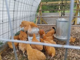 1000001794.jpg 1000001794.jpg