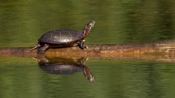 0T7A7142 small.jpeg 0T7A7142 small.jpeg