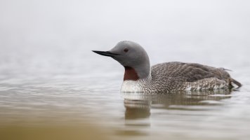 _K5A4804-20250824-DxO_DeepPRIME XD2s.jpg