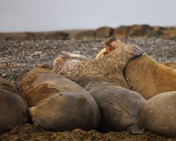 _X4A2672-20250828-DxO_DeepPRIME XD2s.jpg