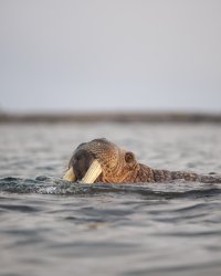 _X4A2641-20250828-DxO_DeepPRIME XD2s.jpg