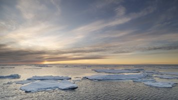 _K5A7682-20250829-DxO_DeepPRIME XD2s.jpg