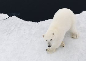 _X4A2975-20250829-DxO_DeepPRIME XD2s.jpg