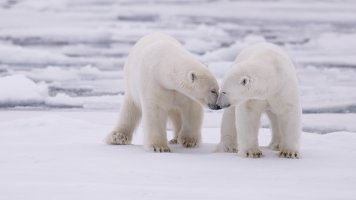 _K5A9227-20250829-DxO_DeepPRIME XD2s.jpg