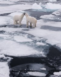 _X4A3122-20250829-DxO_DeepPRIME XD2s.jpg