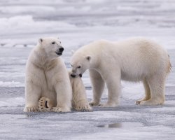 _K5A0743-20250829-DxO_DeepPRIME XD2s.jpg