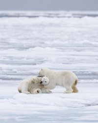 _K5A1059-20250829-DxO_DeepPRIME XD2s.jpg