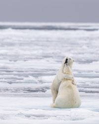 _K5A1151-20250829-DxO_DeepPRIME XD2s.jpg