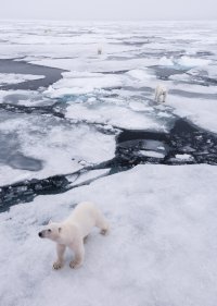 _X4A3153-20250829-DxO_DeepPRIME XD2s.jpg