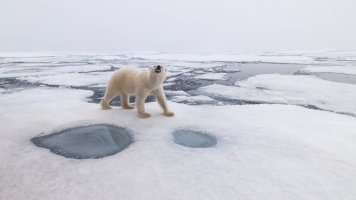 _K5A9986-20250829-DxO_DeepPRIME XD2s.jpg