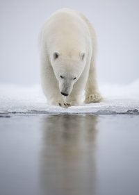 _K5A2129-20250830-DxO_DeepPRIME XD2s.jpg