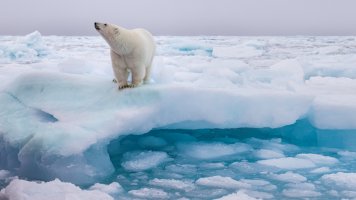 _K5A2773-20250830-DxO_DeepPRIME XD2s.jpg