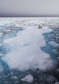 _K5A3342-20250830-DxO_DeepPRIME XD2s.jpg