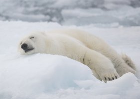 _X4A4210-20250830-DxO_DeepPRIME XD2s.jpg