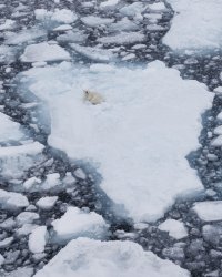 _K5A5859-20250830-DxO_DeepPRIME XD2s.jpg