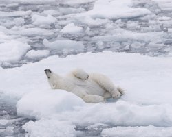 _K5A5463-20250830-DxO_DeepPRIME XD2s.jpg