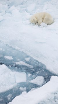 _K5A5900-20250830-DxO_DeepPRIME XD2s.jpg