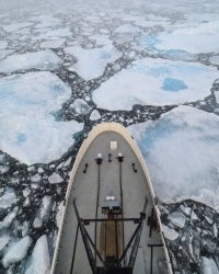 _K5A6159-20250831-DxO_DeepPRIME XD2s.jpg