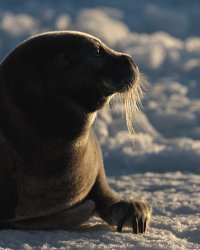 _K5A7557-20250831-DxO_DeepPRIME XD2s.jpg